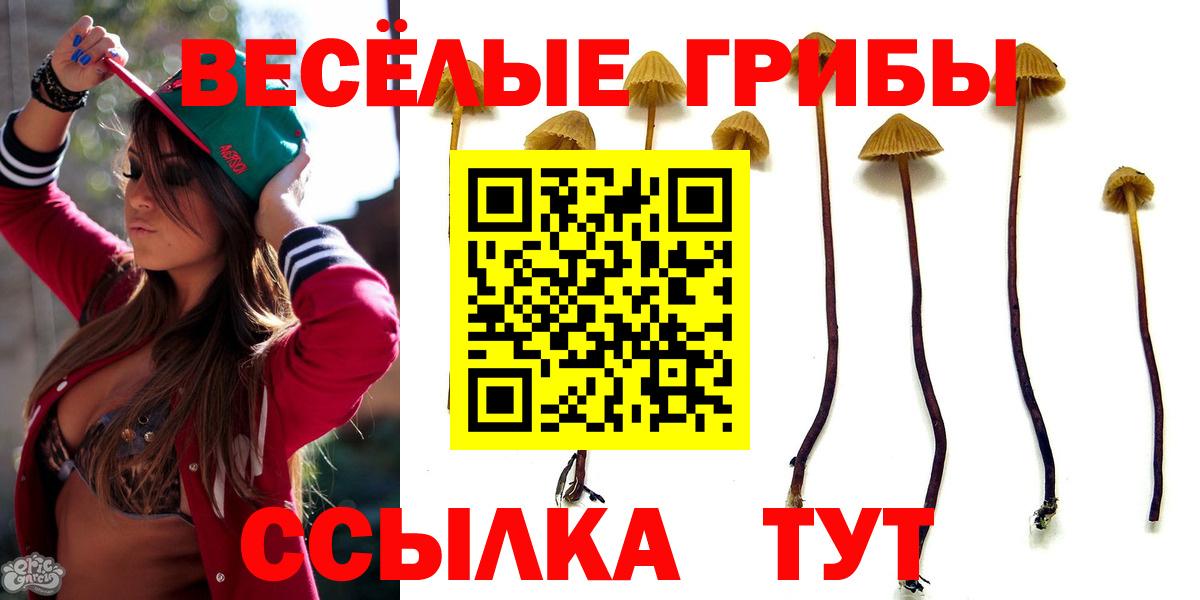 Галлюциногенные грибы прущие грибы  Псилоцибиновые грибы мухоморы  купить наркоту  Чебаркуль  Вход с VPN 
