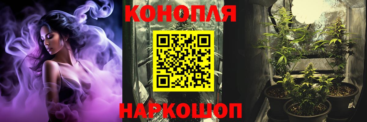 Шишки марихуана планчик  Вход с VPN  МАРИХУАНА планчик  Чебаркуль  Бошки Шишки ГИДРОПОН 